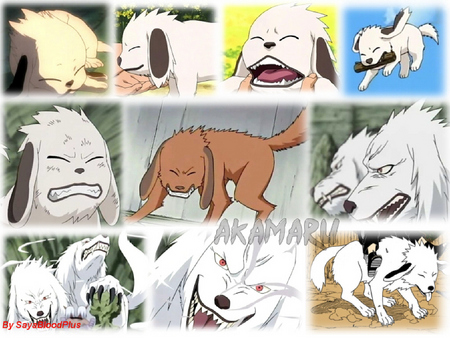 Untitled Wallpaper - anime dog dogs animals, naruto akamaru