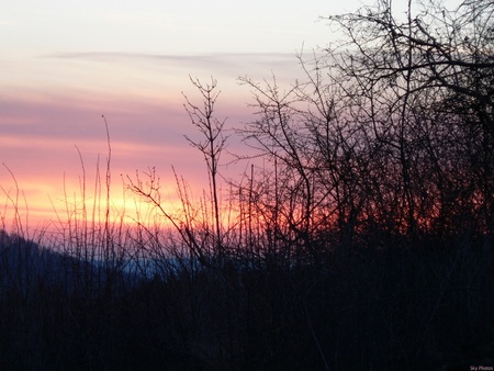 Morning Sunrise - grasslands, nature, druffix, sunrise, sun