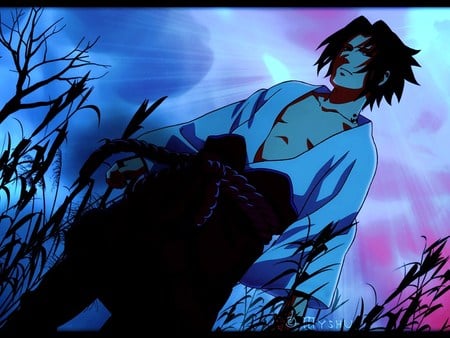 sasuke uchiha - anime, sasuke, naruto