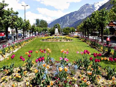 Manicured Garden - lawn, trees, manicured, flowers, garden