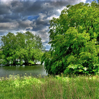 Village pond