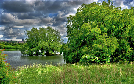 Village pond - nature, forests