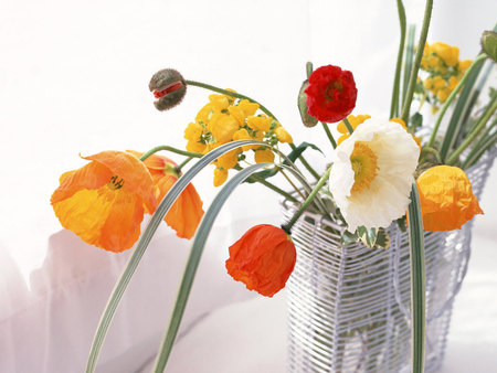 Ikebana Poppy - flowers, wire holder, poppies