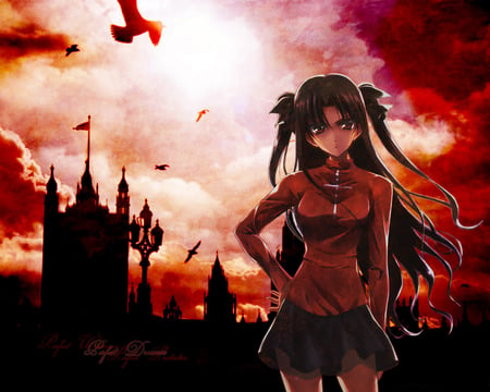 rin - fater, night, tohsaka, stay