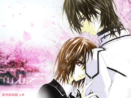 Vampire Knight - kaname, yuki