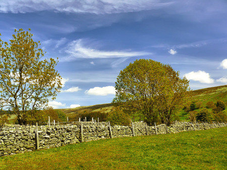 Stoney walls - nature, forests