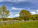 Stoney walls