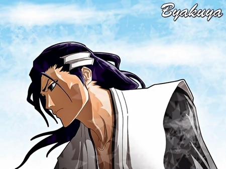 Kuchiki Byakuya - captain, anime, bleach