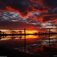 Reddish Sunset