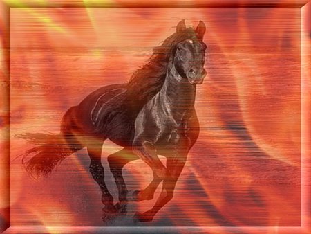 Horse - animal, running, beach, fire, red, horse