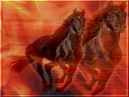 Horse - animal, running, beach, fire, red, horse