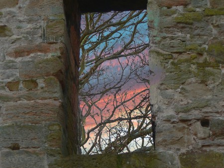 Old window - nature, windows