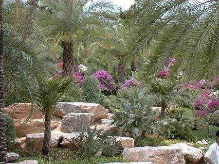 Rocky Garden - tropical, rocks, flowers, palms, grass