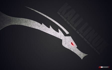 Kali Linux - linux dragon, dragon, hack, kali linux, linux