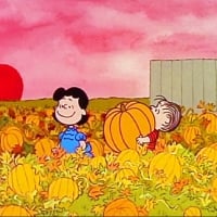 Lucy And Linus Picking Out Thier Pumpkin