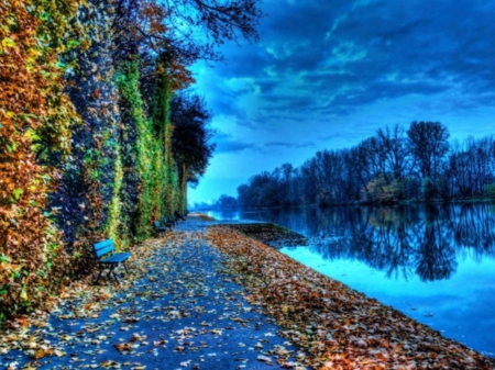 Falling Leaves - lake, trees, falling, bench, road, nature, reflection, blue, leaves