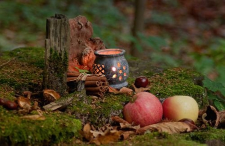 autumn beauty - beauty, pumpkins, autumn, still life, grass