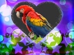 MACAW HEART