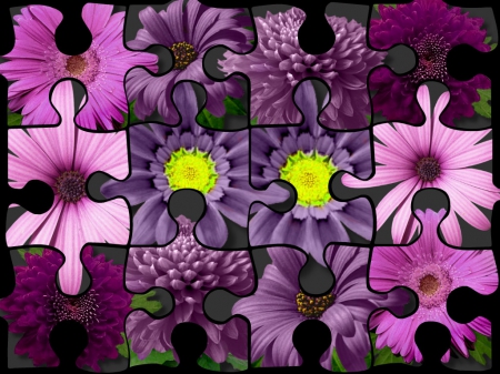 PURPLE COLLAGE - PURPLE, COLLAGE, JIGSAW, DAISY