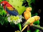 THREE PARROTS