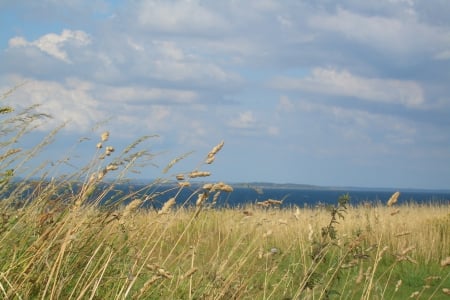 Impressions of Aero 5 - danmark, field, aero island, sea