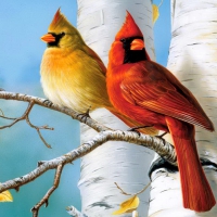 Cardinals and birch-detail