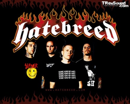 Hatebreed - metal, breed, hate, hatebreed, hardcore