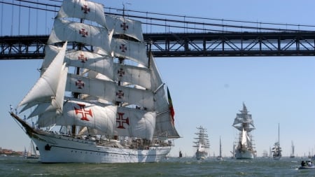 Sailing Ship Fleet - boats, ships, sea, ocean, tall ships