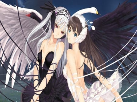 Ballerina Girls - ballerina, swan, wings, girl, orginal, angel, dance, tony taka