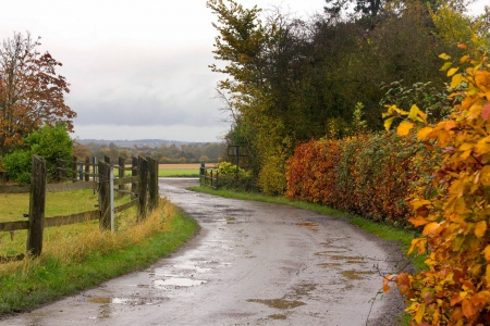 *** Autumn *** - natyre, roaud, vilage, autumn