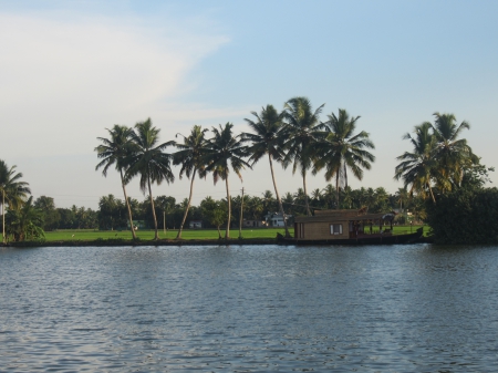 From GOD'S OWN COUNTRY,KERALA - Hammock, Britney Spears, Seagull, Paradise