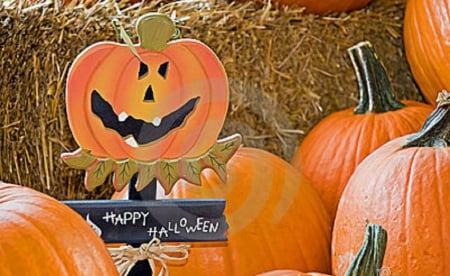 Happy Halloween Pumpkins - pumpkins, photography, halloween, still life, abstract