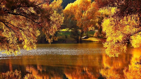 Fall Colors - reflections, autumn, trees, water, leaves, pond