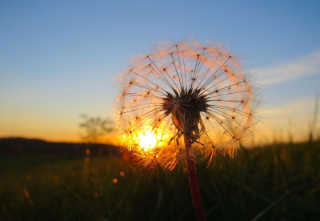 Even Nature Likes a Sunset View - sky, autumn, sunset, field, september, nature, fall, october, clouds, grass