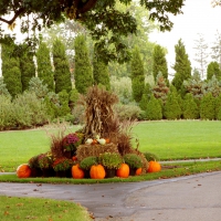 Autumn Estate Garden