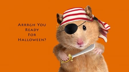 Ready For Halloween? - halloween, hamster, autumn, fall, funny, sword, pirate