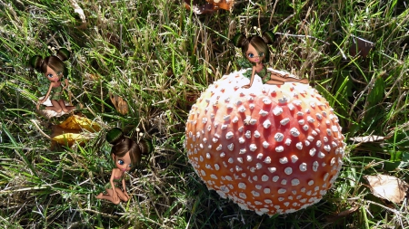 Lawn Fairie and Mushroom - mushroom, autumn, pixies, fantasy, lawn, fall, leaves, fairies, grass, garden, cute