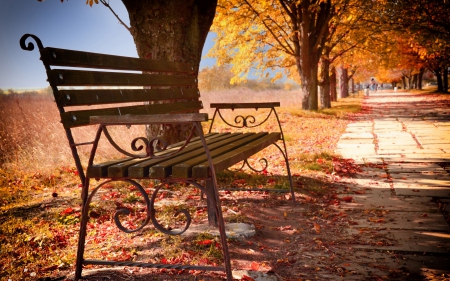 Beautiful Autumn - nature, autumn, trees, leafs, beautiful, park, leaves, bench