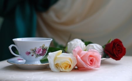 Still Life - lovely, roses, pink, cup