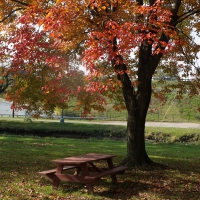 Autumn Park