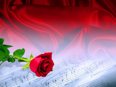 Love song - music, beauty, rose, red