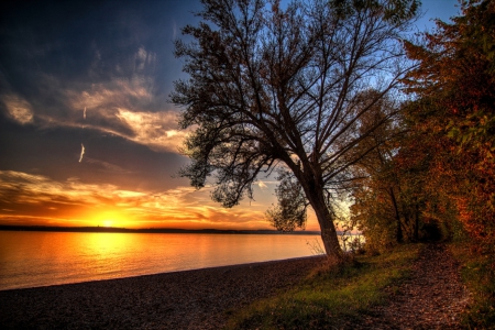 Sunset - nature, sky, sunset, trees