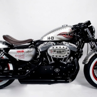 Harley Shark