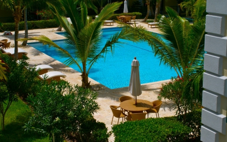 Swimming Pool - sun loungers, swimming pool, blue, pool, tables, palm trees, chairs