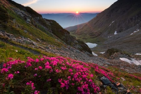 Beautiful View - nature, sky, moutains, beautiful, flowers, sunset