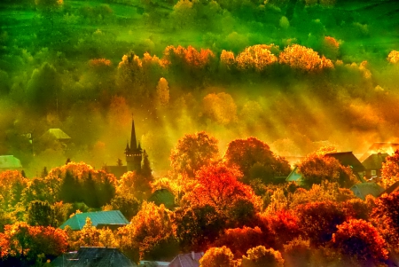 October - nice, autumn, colorful, mirrored, shine, foliage, fall, pretty, reflection, tree, golden, branches, falling, lovely, nature, glow, october, beautiful, leaves, colors