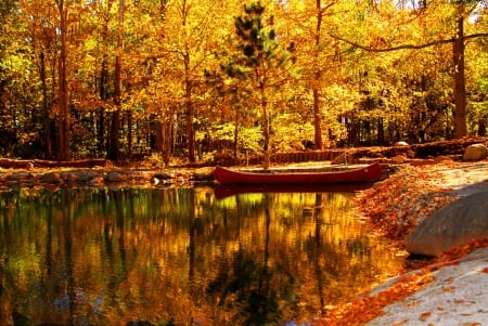 Autumn pond - Forests & Nature Background Wallpapers on Desktop Nexus ...