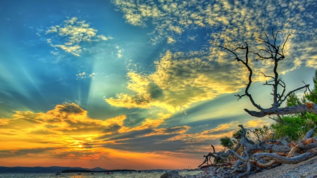 superb sunset hdr - sunbeams, boats, clouds, tree, shore, sunset, sea