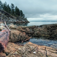 log on rocky seacoast in vancouver hdr