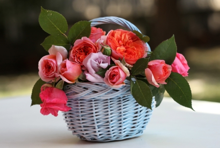 For Roses Group - beautiful, basket, love, roses